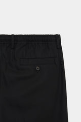 A24A-15PT01C DRY VOILE TWILL DOUBLE PLEATED EASY TROUSERS