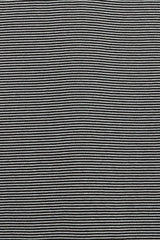 M23B-06CS01B ORGANIC COTTON 32G KNIT BORDER TEE S/S