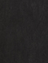 M26B10CS01B ORGANIC COTTON RAMIE PIQUE S/S SHIRT