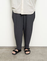 PT01262 POLYESTER TAPERED PANTS